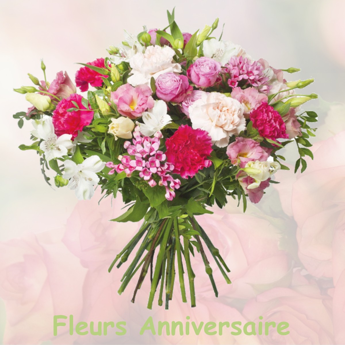 fleurs anniversaire MONTFALCON